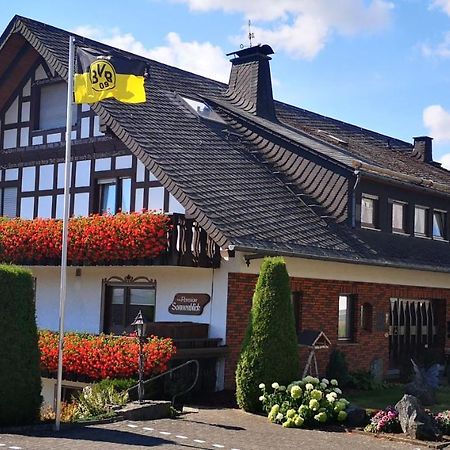 Pension Sonnenblick Winterberg Kültér fotó